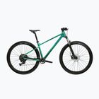 Mountain bike KROSS Level X100 green/black/mat