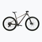 Mountain bike KROSS Level X100 grey/brown/mat