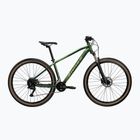Mountain bike KROSS Hexagon X200 29" green/shine