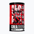 Creatine Fitness Authority Bad Ass Crea 300 g exotic