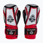 DBX BUSHIDO ARB-407v2 children's boxing gloves black and red