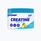 Creatine Monohydrate 6PAK creatine 300g lemon PAK/243