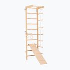 RINAGYM SPR B+SLIDE gymnastic ladder