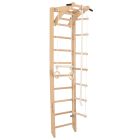 RINAGYM SPR A gymnastic ladder