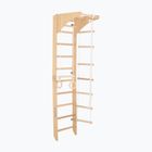 RINAGYM gymnastic ladder SPR C