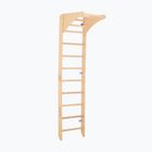 RINAGYM SPR C Pure gymnastic ladder