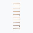 Gymnastics ladder RINAGYM SPR H white