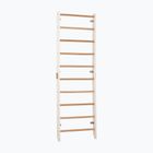 Gymnastics ladder RINAGYM Kombi 1 white
