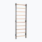 Gymnastics ladder RINAGYM Steel 1 graphit