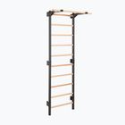 Gymnastics ladder RINAGYM Steel Pure graphit