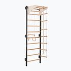 Gymnastics ladder RINAGYM Steel Kom 2 graphit/white