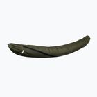 Cover Lesovik Larva mayfly green