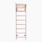 BenchK bronze gymnastic ladder BK-111