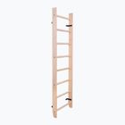 BenchK gymnastics ladder in natural wood BK-100