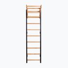 BenchK gymnastics ladder black BK-711B