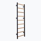Gymnastic ladder BenchK black BK-700B