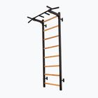 BenchK gymnastics ladder black BK-221B
