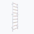 BenchK gymnastics ladder white BK-700W