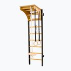 BenchK gymnastics ladder black BK-212B+A076