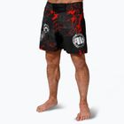 Pitbull Grappling Blood Dog II training shorts black