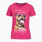 Pitbull Synglasses Dog raspberry gold women's t-shirt
