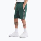 Men's shorts Pitbull Track Shorts Powers bottle green