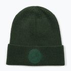 Winter hat Pitbull Beanie San Diego Ca dark green