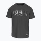 Men's T-shirt Pitbull World graphite