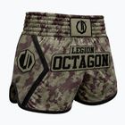 Training shorts Octagon Legion Kickboxing/Muay Thai Premium frontline