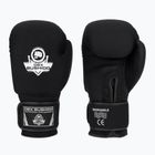 Boxing gloves DBX BUSHIDO Ever Clean black DBX-B