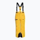 Children's ski trousers 4F M360 yellow