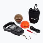 Deeper Smart Sonar Chirp+ 2.0 fishing sonar with scale brown DP4H10S10+Weight