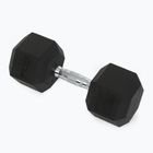 XTREXO Hex HXD200 20 kg rubberised dumbbells