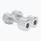 XTREXO chrome dumbbells 2x12 kg silver