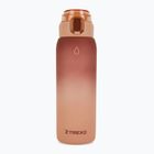 XTREXO Haust 1000 ml bottle brown