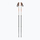 Fizan Smu Peak beige trekking poles