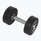 Rubber-coated cast iron dumbbell XTREXO Pro 12 kg black