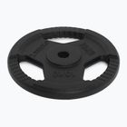 Cast iron weight XTREXO TRX-ICP010 10 kg chrome