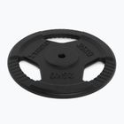 XTREXO cast iron weight TRX-ICP025 25 kg chrome