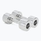 XTREXO chrome dumbbells 2x6 kg silver