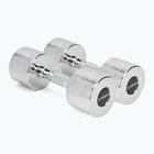 XTREXO chrome dumbbells 2x9 kg silver