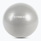 XTREXO Gymball TXO-B4Z007-GY 55 cm grey