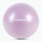 Gymnastic ball XTREXO TXO-B4Z008-VT 65 cm purple