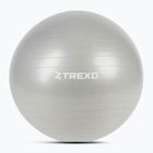 XTREXO Gymball TXO-B4Z009-GY 75 cm grey