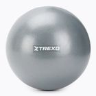XTREXO mini gymnastics ball TXO-B4Z010-GY 20 cm grey