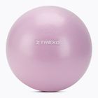 TREXO mini gymnastics ball TXO-B4Z011-VT 25 cm purple