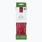 Tent pegs KADVA Alupin 6 pcs. red
