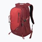 Hiking backpack Alpinus Teide 24 l burgund