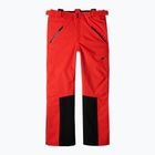 Men's ski trousers 4F