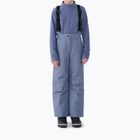 Children's ski trousers 4F Fnk F0948 grey